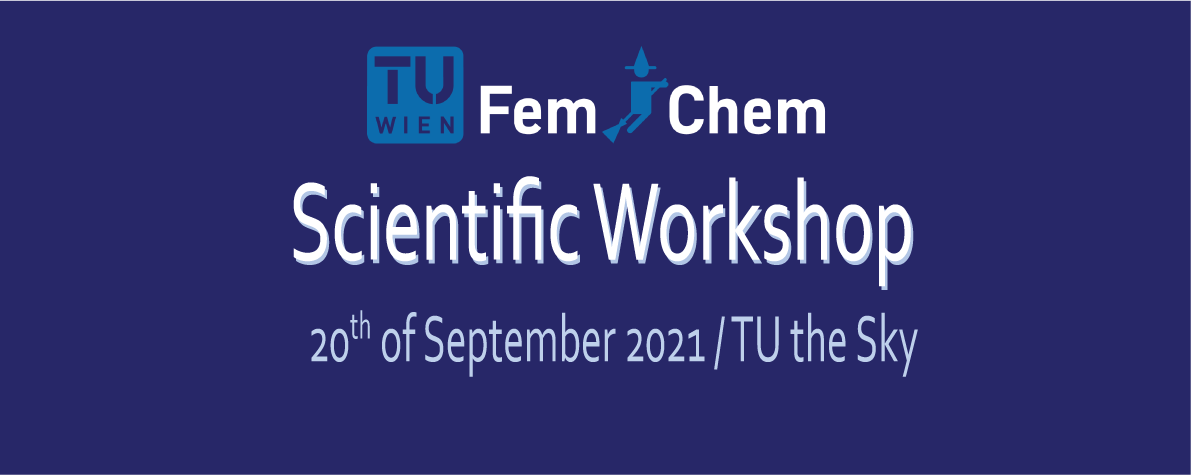FemChem Scientific Workshop!