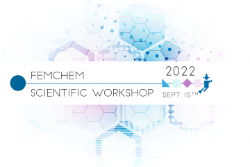 Scientific Workshop Femchem