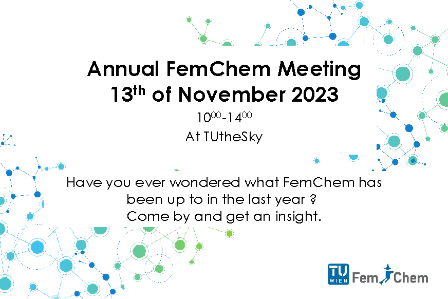 FemChem Annual Meeting 2023